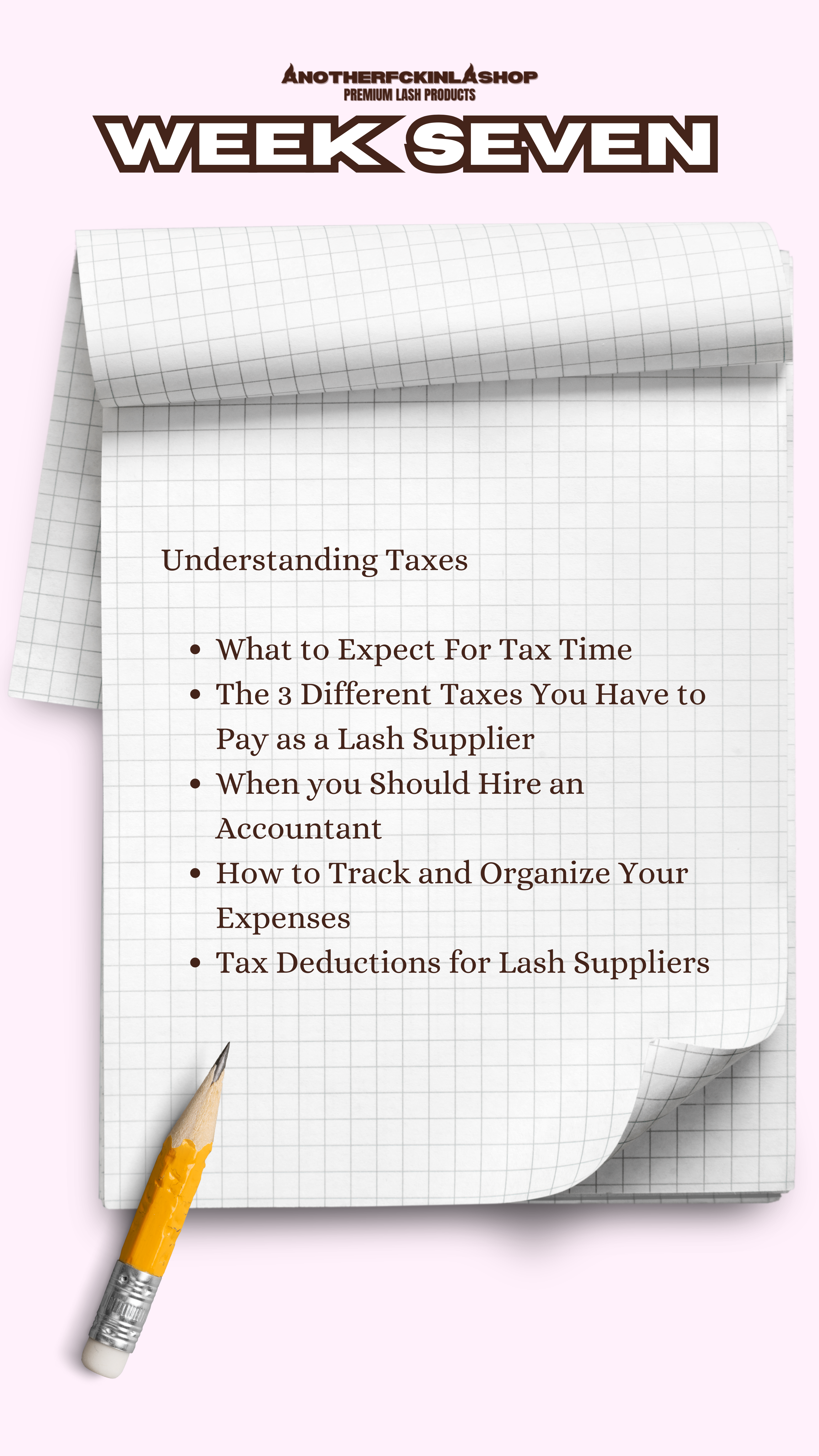 The Lash Line Blueprint | 10 WEEK MENTORSHIP